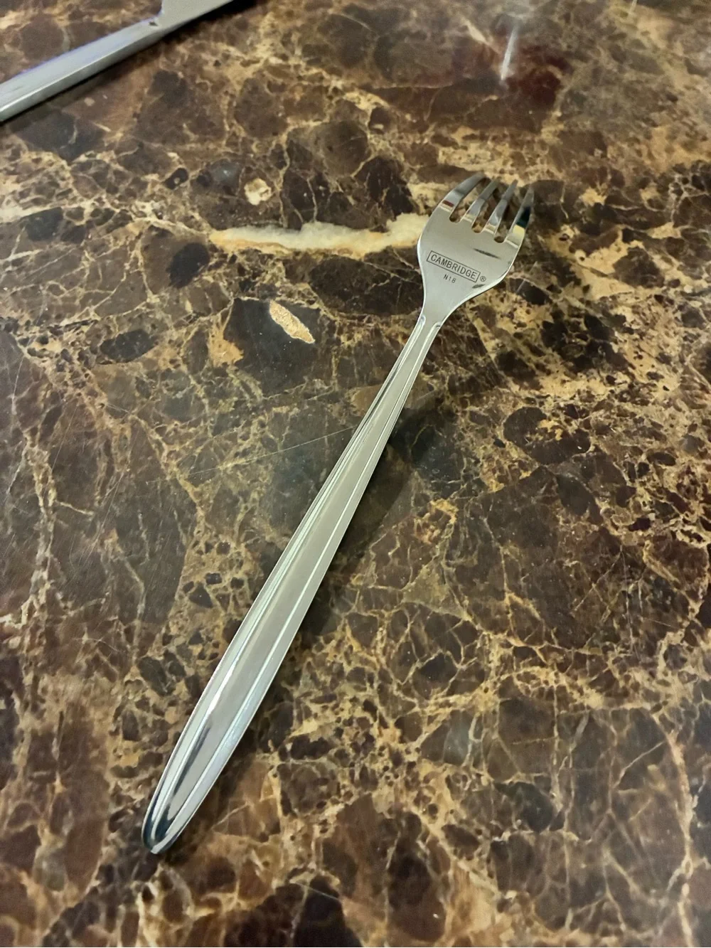Stainless Steel Satin Handle Dinner Knife and Dinner Fork Cambridge